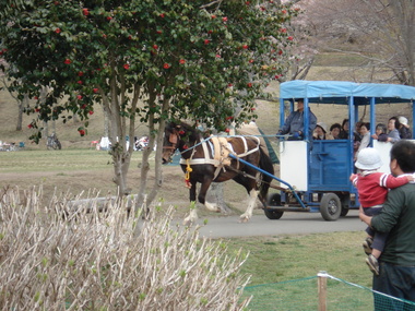 DSC03685.JPGのサムネール画像