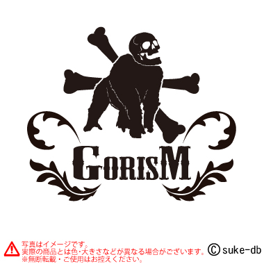 GORISM2